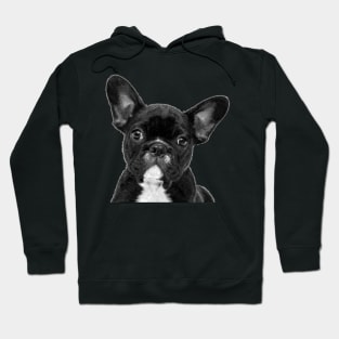 Black and White French Bulldog Hoodie